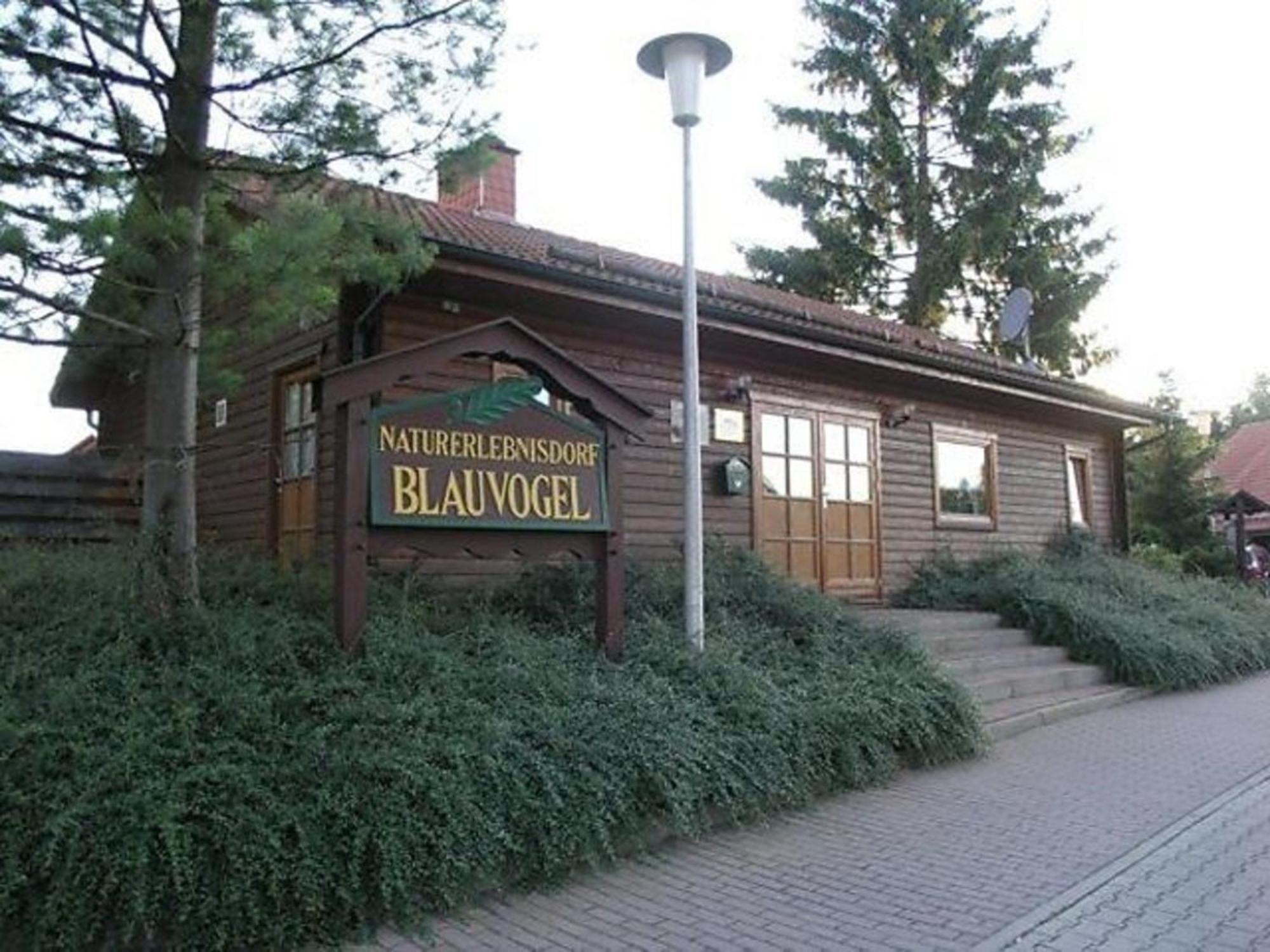 Ferienhaus Nr 32, Typ A, Ferienanlage Blauvogel, Hasselfelde, Harz エクステリア 写真